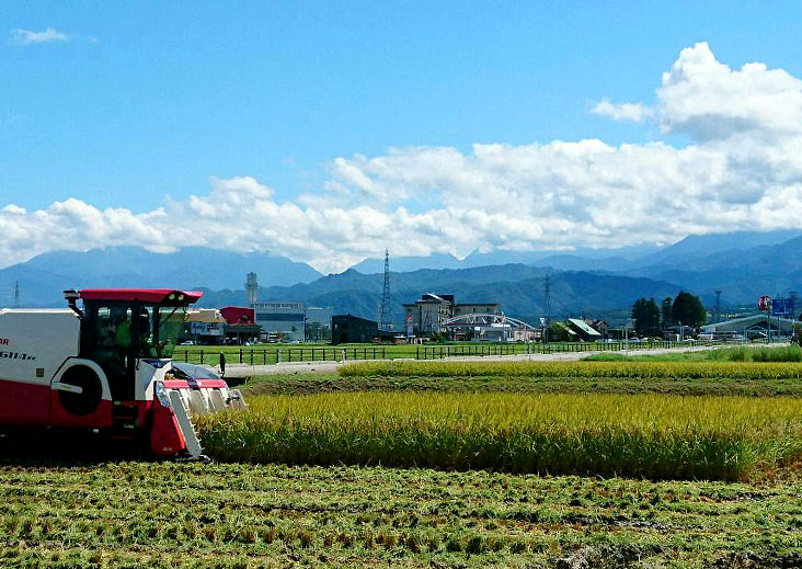 富山県富山市　営農ワイエムアイ　お米づくりの環境